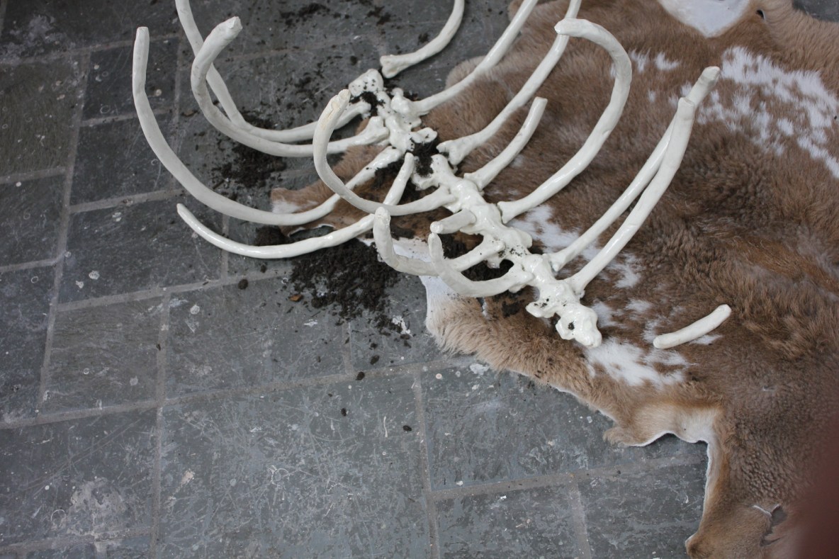 Rib Cage